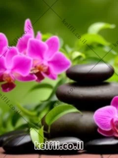 Swedish massage, pampering in Krayot and Haifa